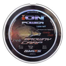 BROWNY CARP - Western Accessories