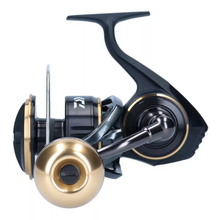 Spinning Reel Daiwa 20 BG MQ