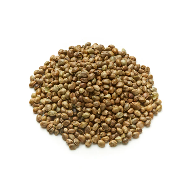 Hemp Seed