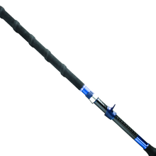 Surf Casting Rods Waft Iron Feather II